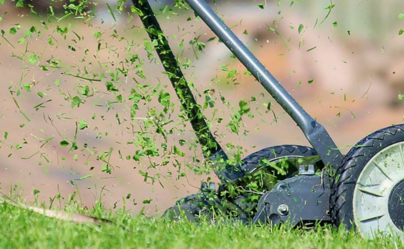 Jardinage : les conseils d’entretien de votre pelouze !